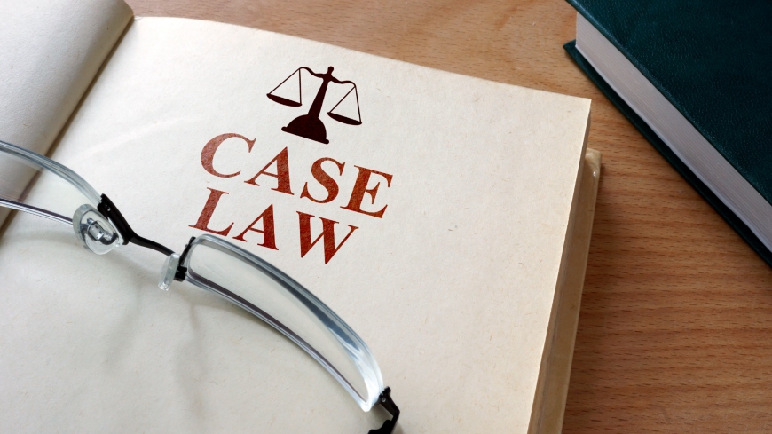 Legal Case Support